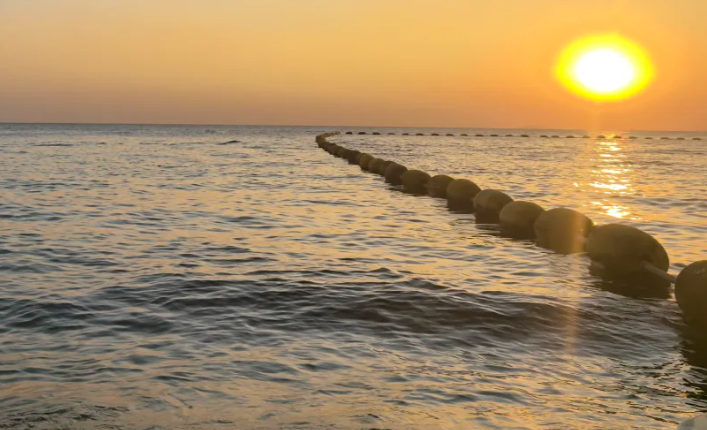 202512011456-9700334741.png image.png