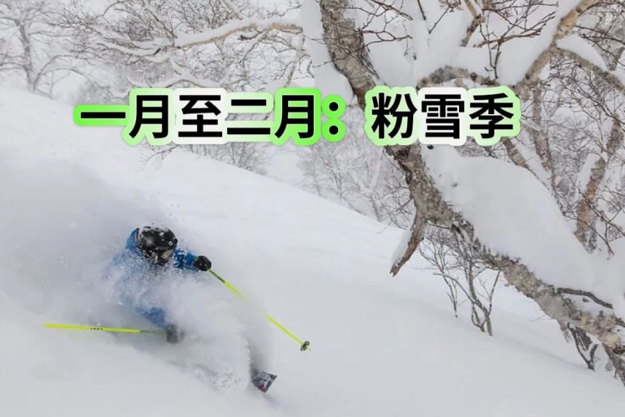 202512011507-2875585000.jpg 北海道二世古最佳游玩与滑雪时间!早知道_4_SkiKeep北海道滑雪_来自小红书网页版.jpg