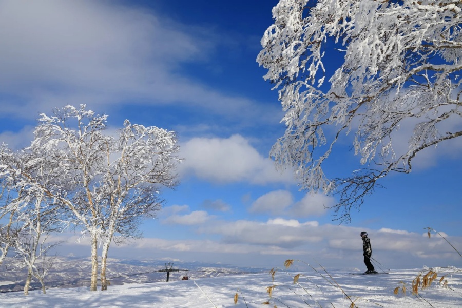 202512011546-4177567926.jpg 日本滑雪场经验谈_4_魔法少女小圆_来自小红书网页版.jpg