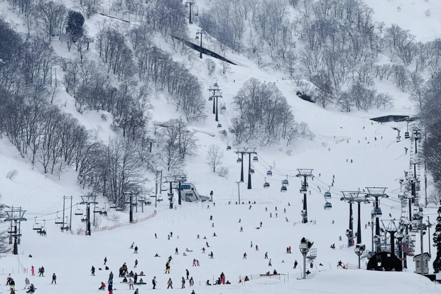 202512011546-5474845145.jpg 东京→长野白马滑雪全攻略🎿交通+雪场指南_6_Magenica__来自小红书网页版.jpg