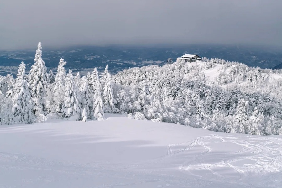 🏂⛷_¦_长野县志贺高原滑雪场（中央区）_2_土土土_-_TTT_-_222_来自小红书网页版.jpg