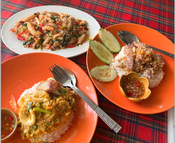 202512011651-7177560396.png image.png