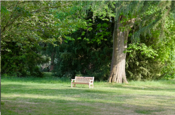 202512021020-6239794680.png image.png