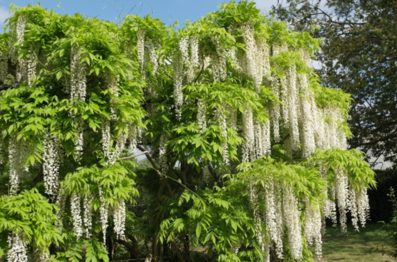 202512021020-7655364029.png image.png