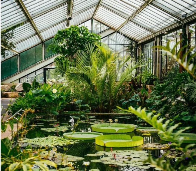 202512021022-1404636586.png image.png