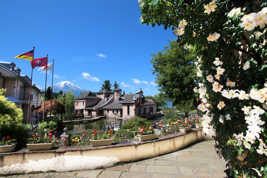 202512021119-6885221575.jpg DM_20251202110622_001.jpg