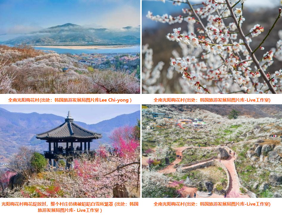 202512021136-6967728033.png image.png