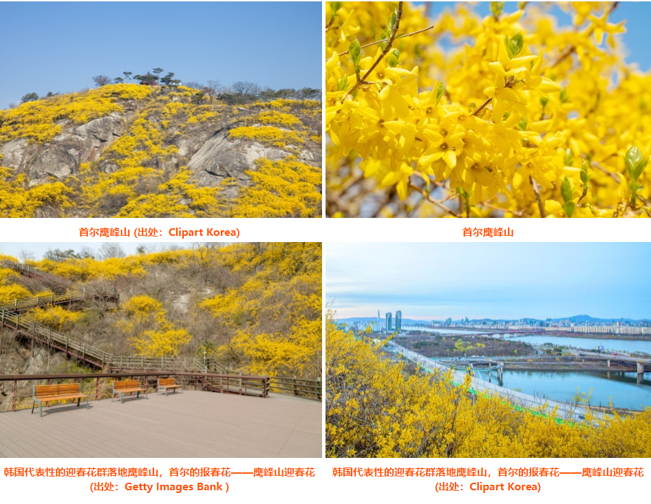 202512021136-8632614208.png image.png