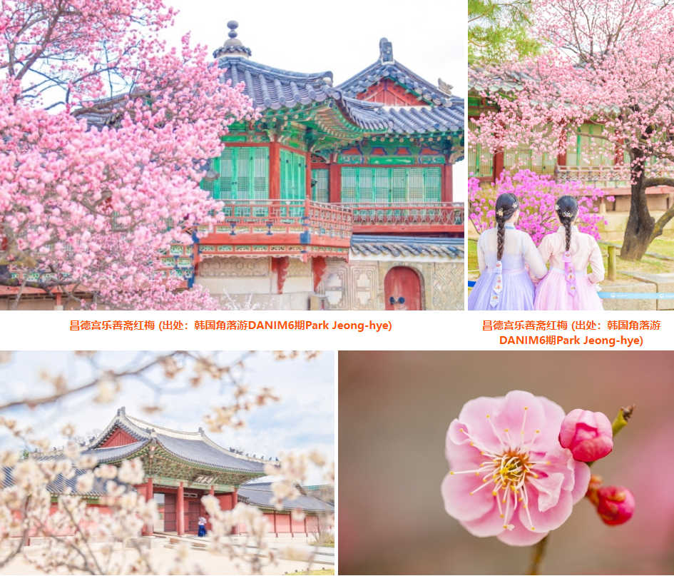 202512021137-4593057804.png image.png