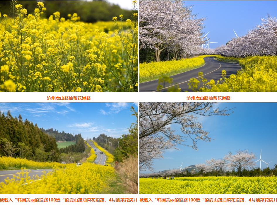 202512021138-1955295458.png image.png