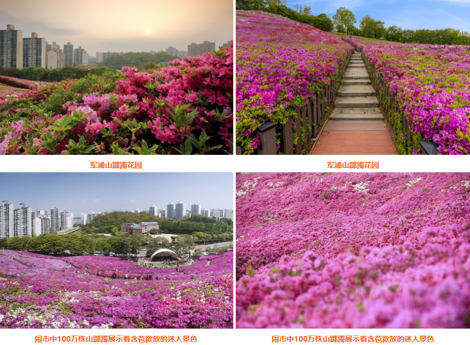 202512021138-4951644158.png image.png