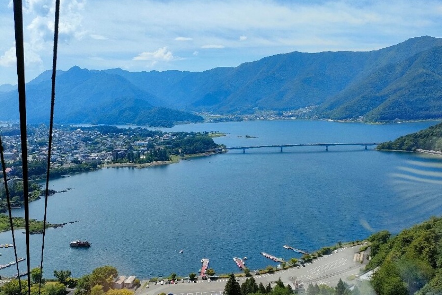 202512021139-8624249615.jpg DM_20251202112756_001.jpg