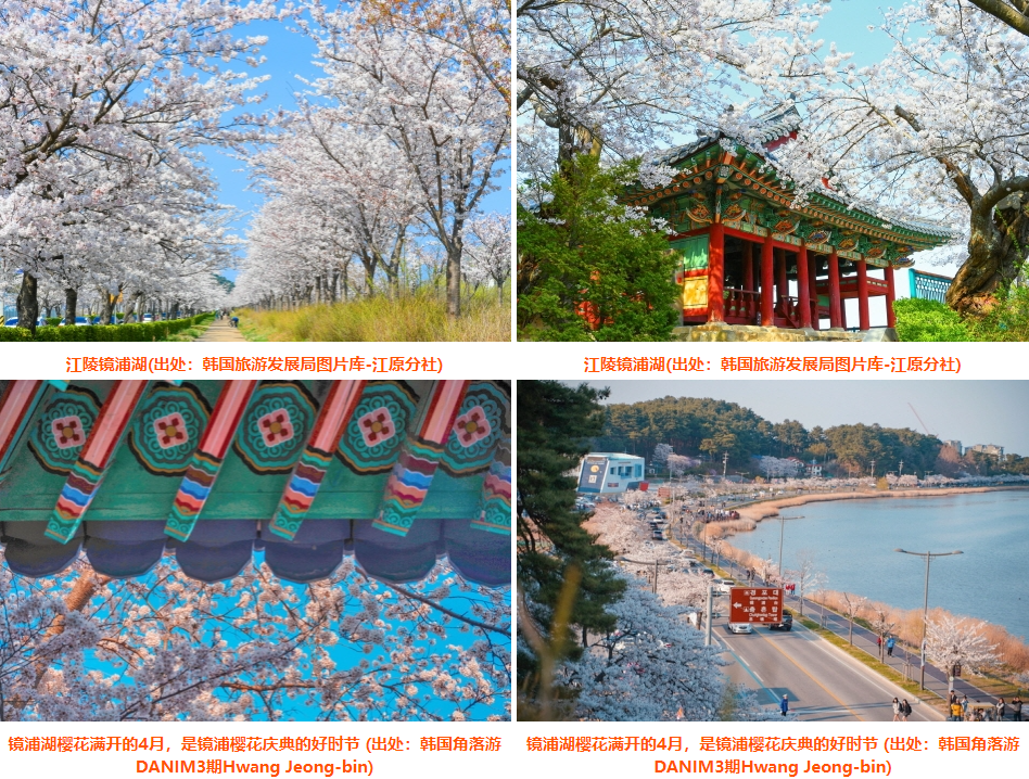 202512021140-6803954583.png image.png