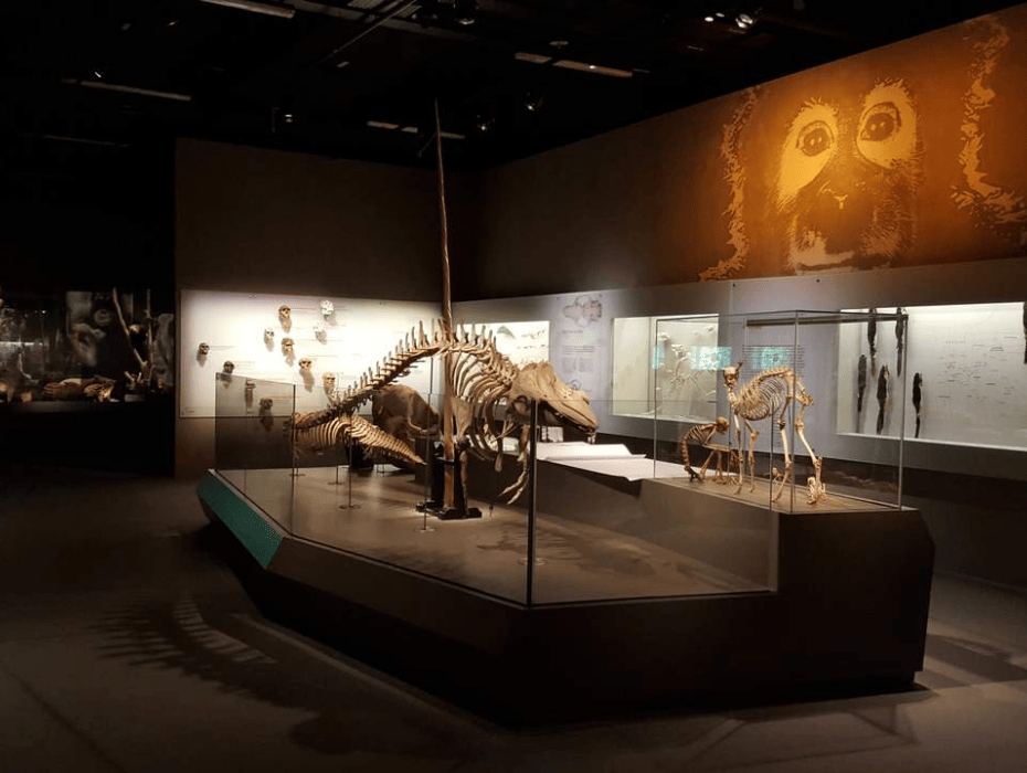 202512021335-9489039515.png 企业微信截图_1764653445417.png