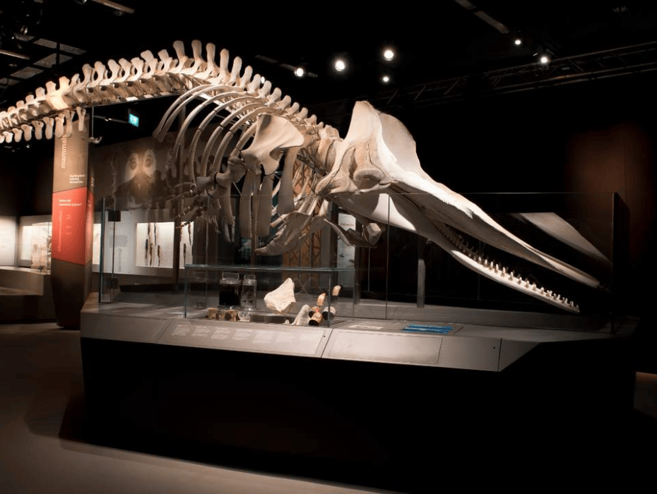 202512021336-7086186582.png 企业微信截图_17646534278890.png