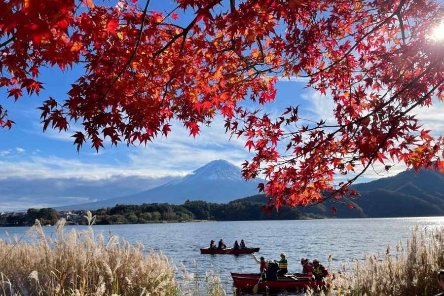 202512021347-1101527797.jpg DM_20251202133313_009.jpg