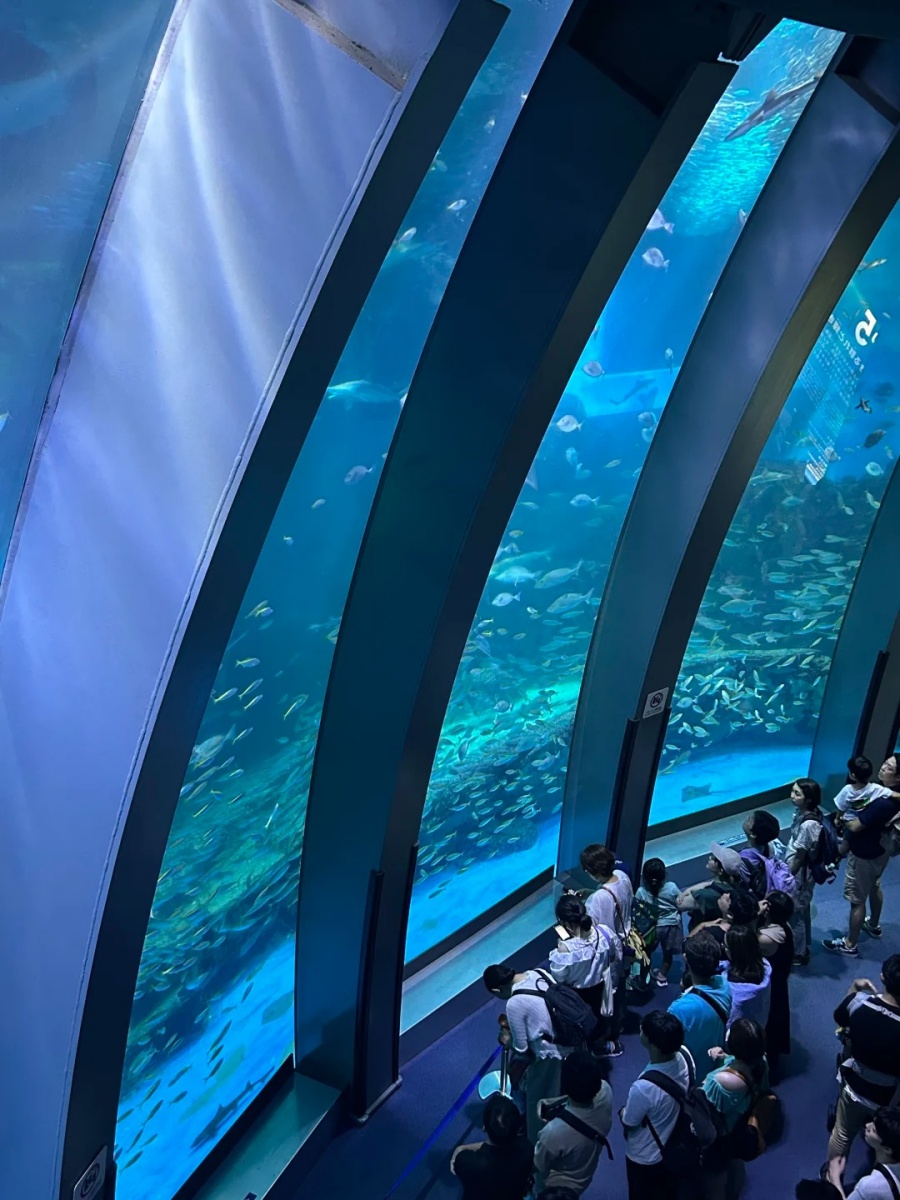 202512021535-4841682565.jpg 最值得去的海洋馆!!!!真的好浪漫💕_1_潞游游_来自小红书网页版.jpg