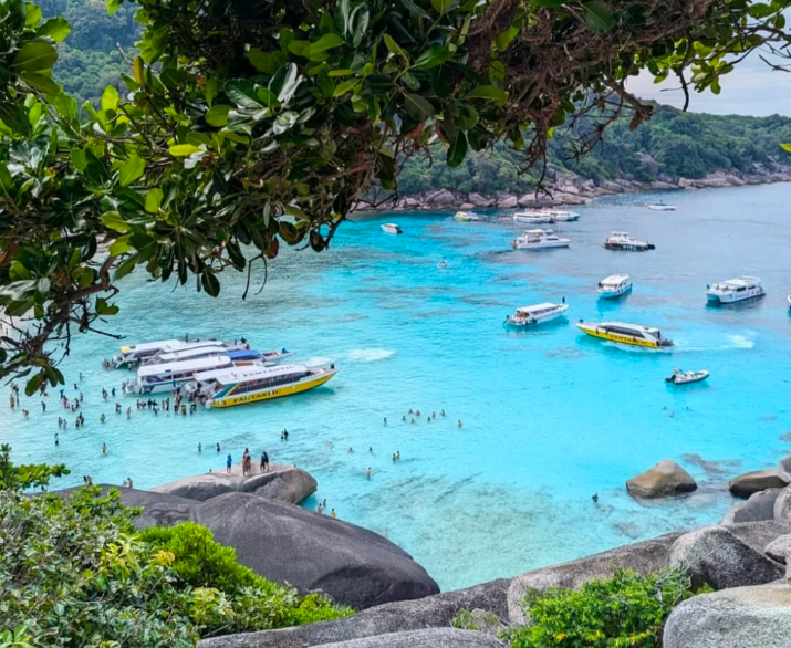 202512021537-5069945070.png image.png