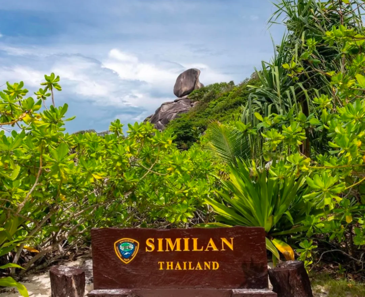 202512021538-1423828452.png image.png