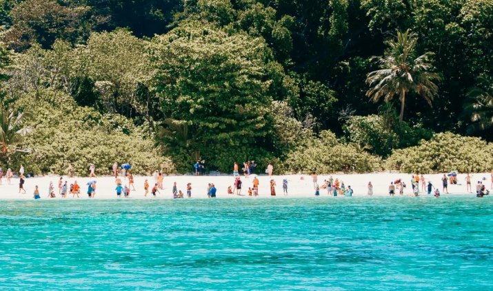 202512021558-2259187437.png image.png