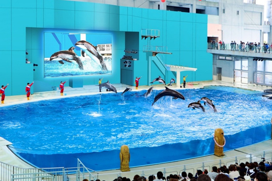 202512021628-6740556591.jpg DM_20251201094339_002.jpg