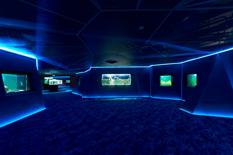 202512021636-3112600708.jpeg DM_20251127113637_005.JPEG