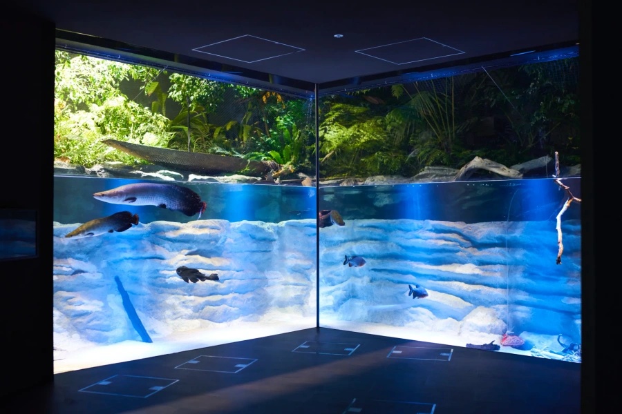 202512021636-9790662599.jpg DM_20251202163426_001.jpg