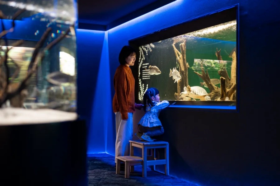 202512021637-1531793836.jpg DM_20251202163426_003.jpg