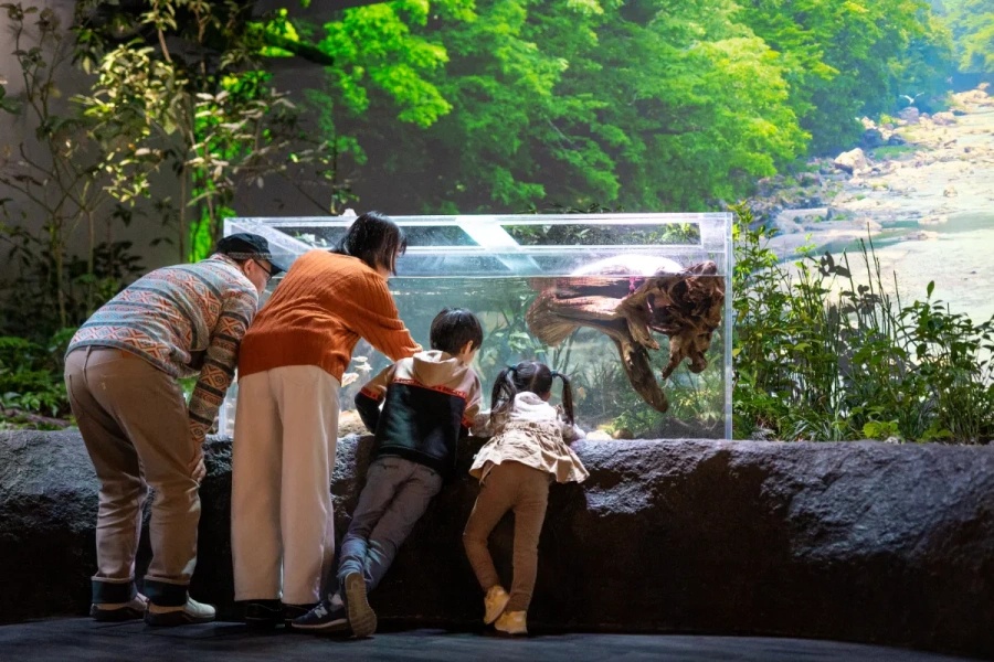 202512021637-5974002823.jpg DM_20251202163426_004.jpg