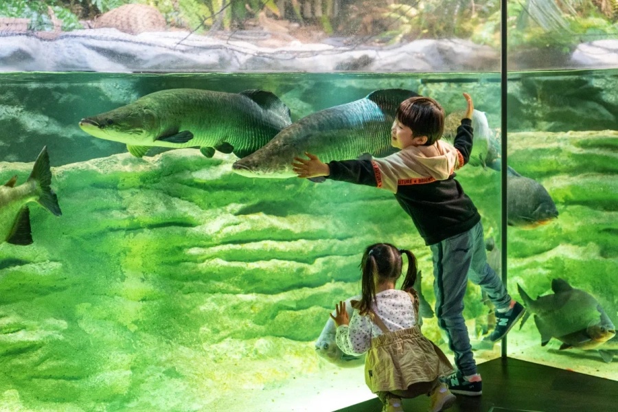 202512021637-6483926440.jpg DM_20251202163426_005.jpg