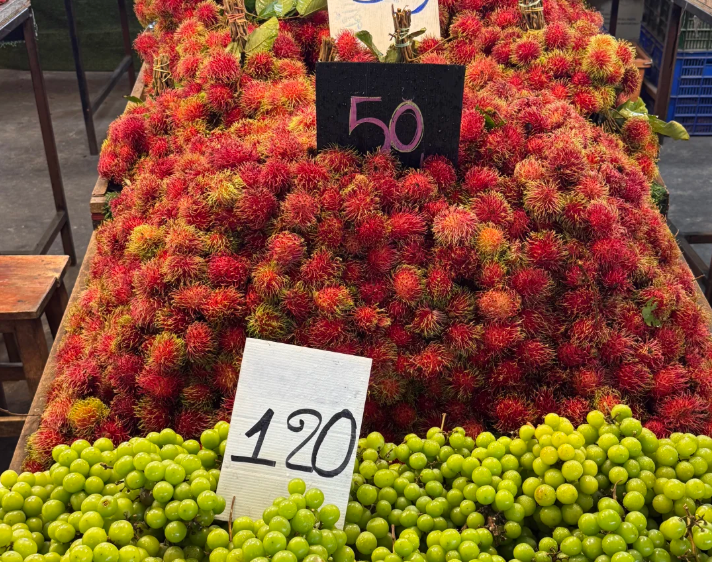 202512021652-5336243857.png image.png