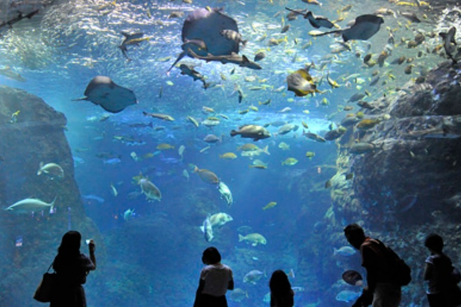 202512021657-2816058814.jpg DM_20251202164013_003.jpg