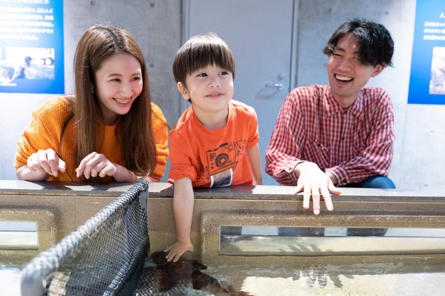 202512021657-5760294244.jpeg DM_20251127111216_006.JPEG