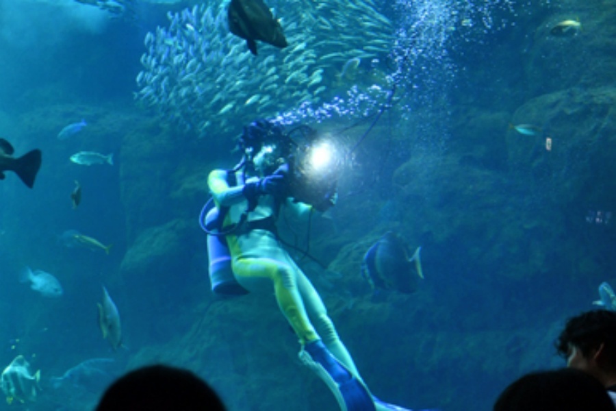 202512021657-6038426923.jpg DM_20251202164013_004.jpg