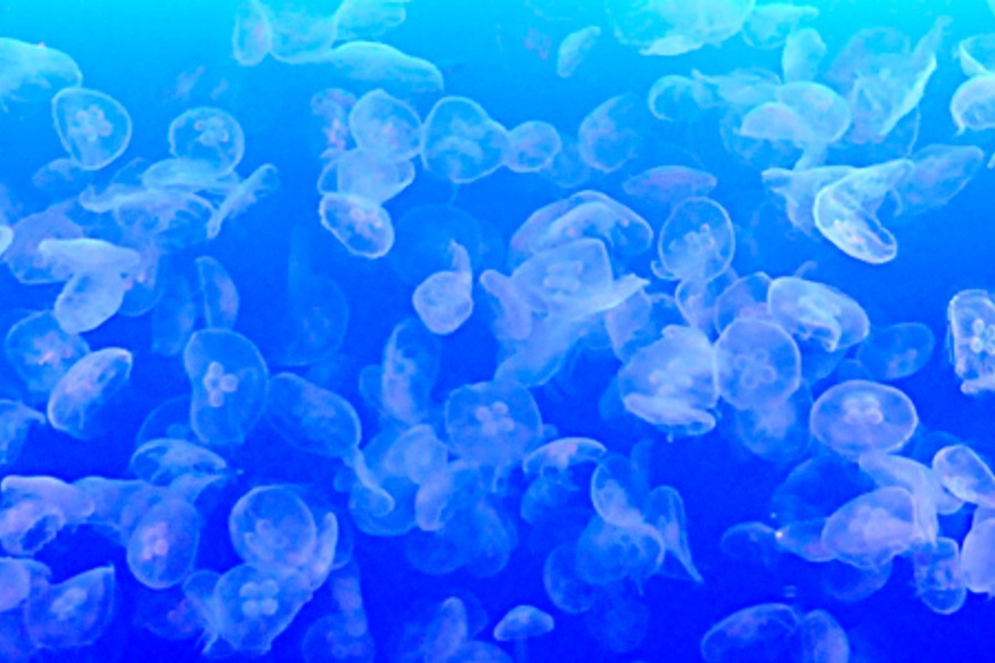 202512021658-5222472071.jpg DM_20251202164013_002.jpg