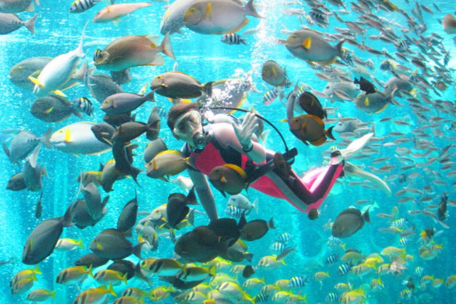 202512021709-1247730699.jpg DM_20251202170133_001.jpg