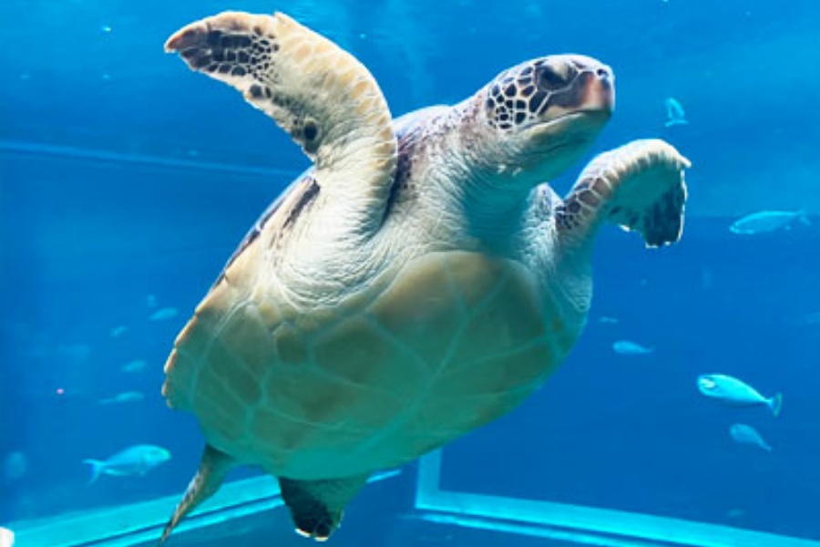 202512021709-6925693820.jpg DM_20251202170133_003.jpg