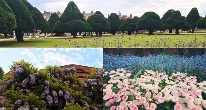 202512030923-9248078532.png image.png