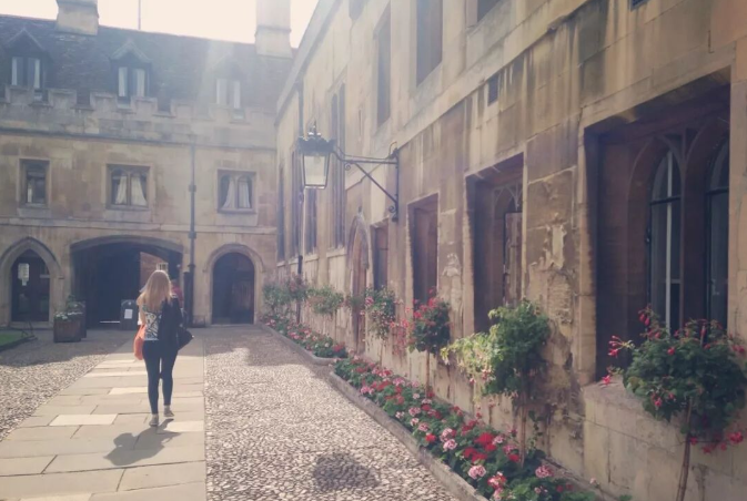 202512030927-5880696901.png image.png