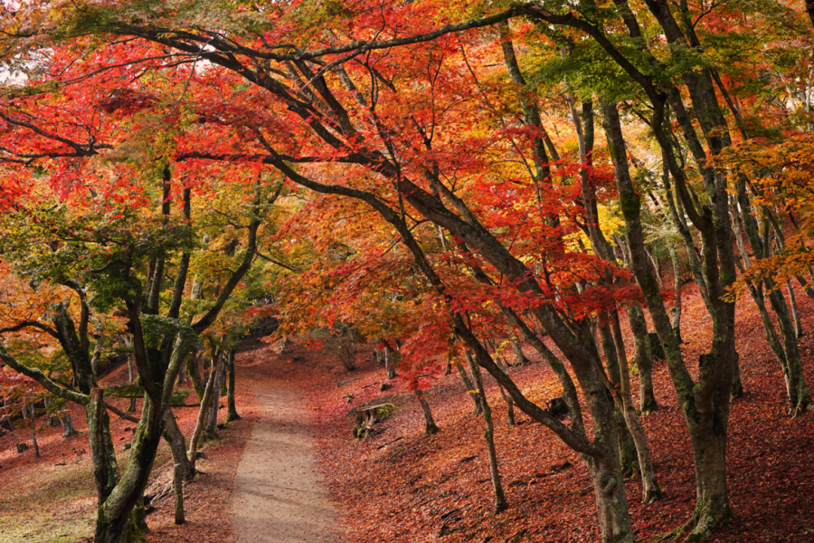 屏幕截图 2025-10-23 113715.png