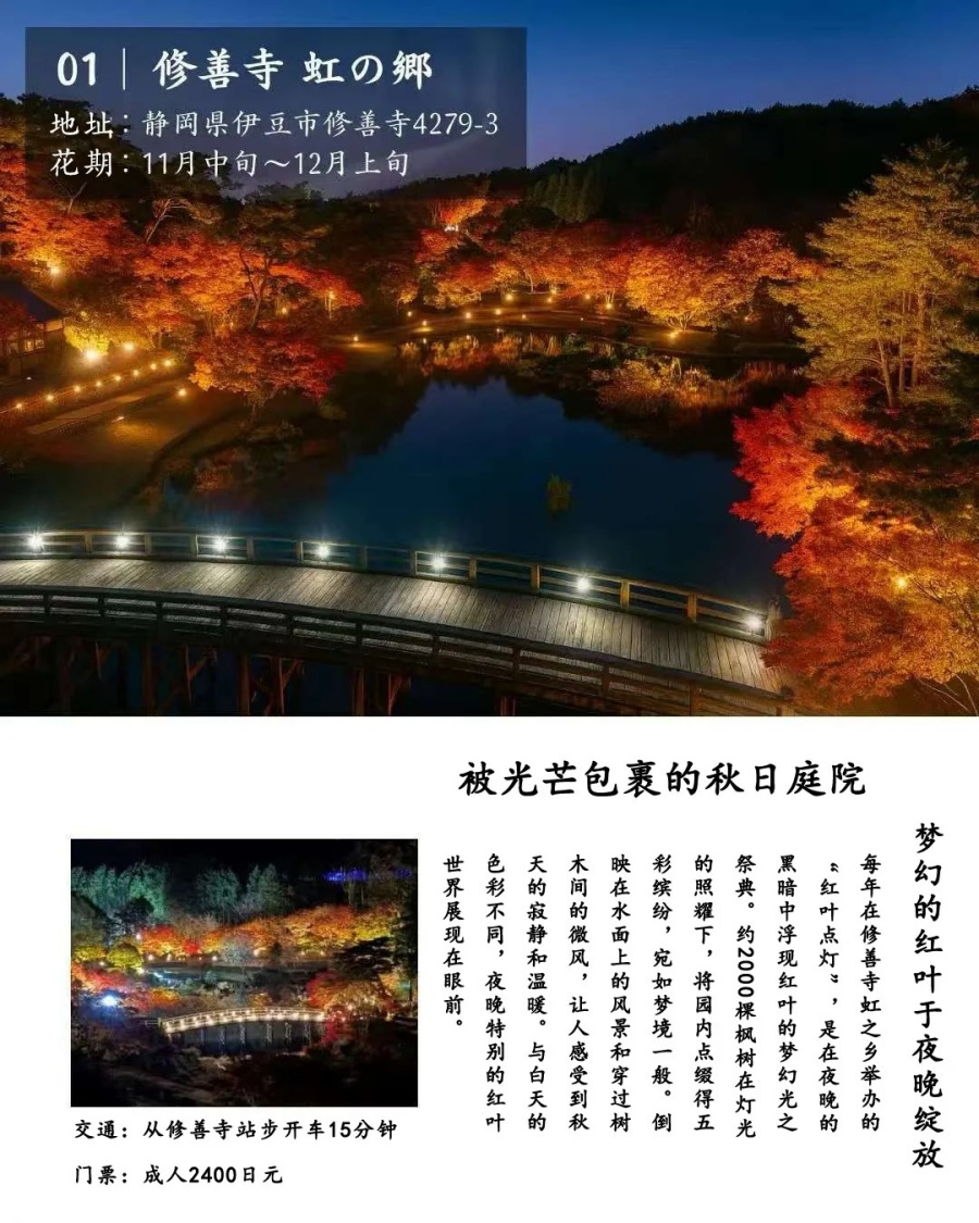 202512030948-1990707376.jpg 修善寺人力车夫推荐的7个夜晚红叶观赏地_3_云见松崎伊豆旅行策划_来自小红书网页版.jpg