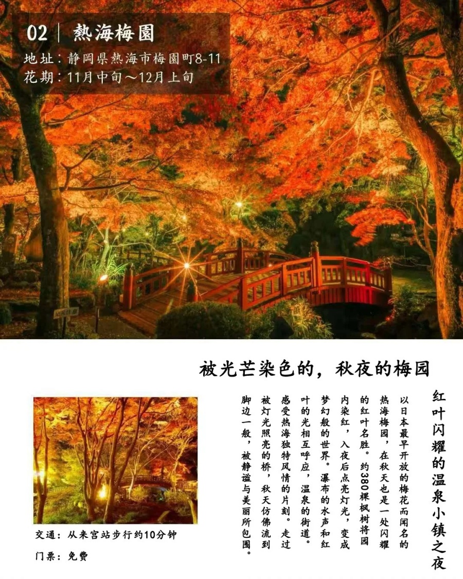 202512030948-3327212509.jpg 修善寺人力车夫推荐的7个夜晚红叶观赏地_4_云见松崎伊豆旅行策划_来自小红书网页版.jpg