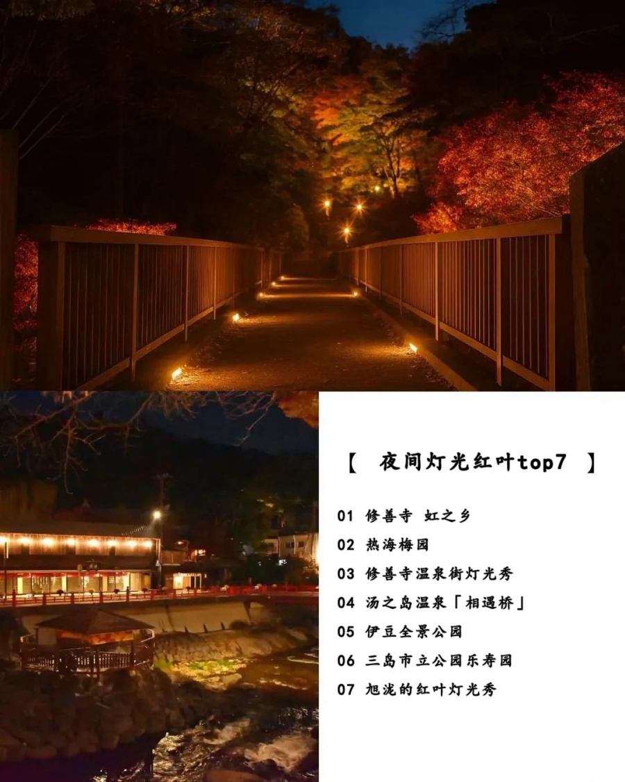 202512030948-5027593552.jpg 修善寺人力车夫推荐的7个夜晚红叶观赏地_2_云见松崎伊豆旅行策划_来自小红书网页版.jpg