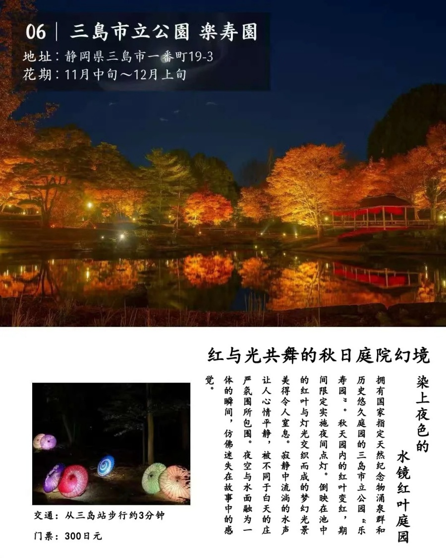 202512030949-1457222555.jpg 修善寺人力车夫推荐的7个夜晚红叶观赏地_8_云见松崎伊豆旅行策划_来自小红书网页版.jpg