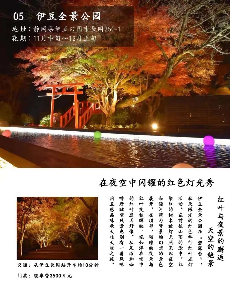 202512030949-5583383543.jpg 修善寺人力车夫推荐的7个夜晚红叶观赏地_7_云见松崎伊豆旅行策划_来自小红书网页版.jpg