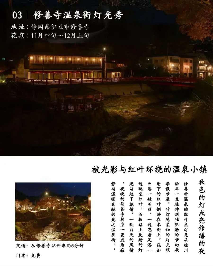 202512030949-8001403962.jpg 修善寺人力车夫推荐的7个夜晚红叶观赏地_5_云见松崎伊豆旅行策划_来自小红书网页版.jpg