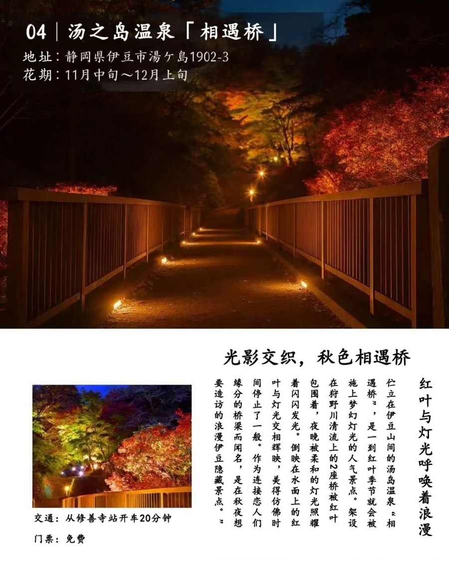 202512030949-8290308082.jpg 修善寺人力车夫推荐的7个夜晚红叶观赏地_6_云见松崎伊豆旅行策划_来自小红书网页版.jpg