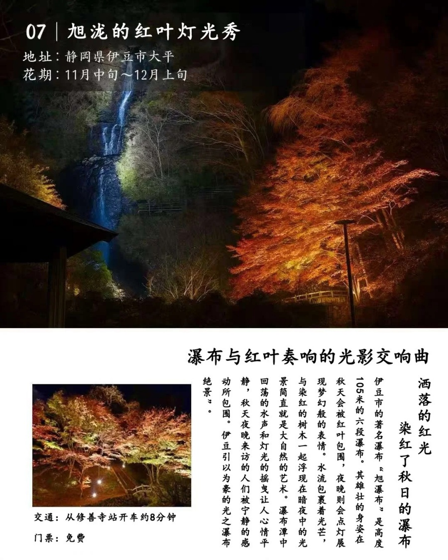 202512030949-8502940003.jpg 修善寺人力车夫推荐的7个夜晚红叶观赏地_9_云见松崎伊豆旅行策划_来自小红书网页版.jpg