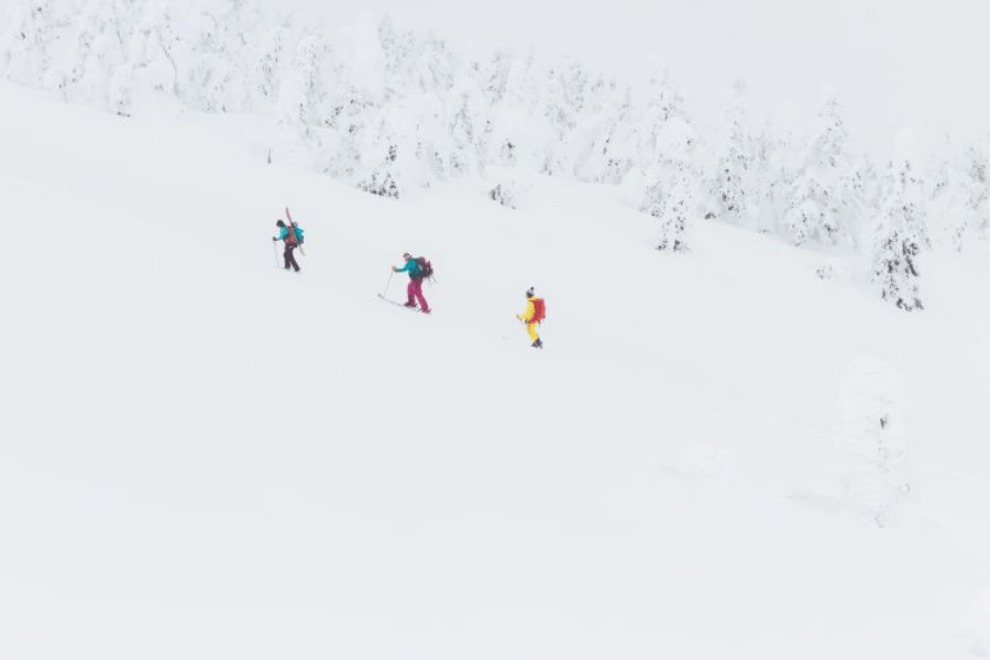 202512031110-8168362851.png 图片13.png