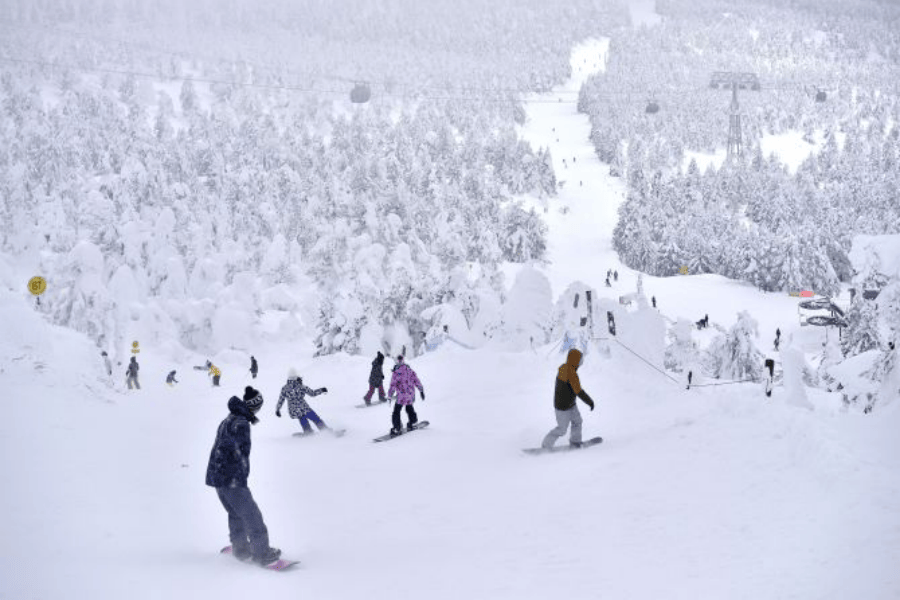 202512031111-5754665900.png 图片17.png